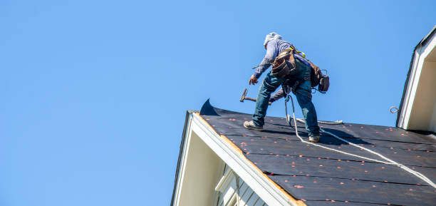 Best Gutter Installation and Roofing  in Whiteville, TN